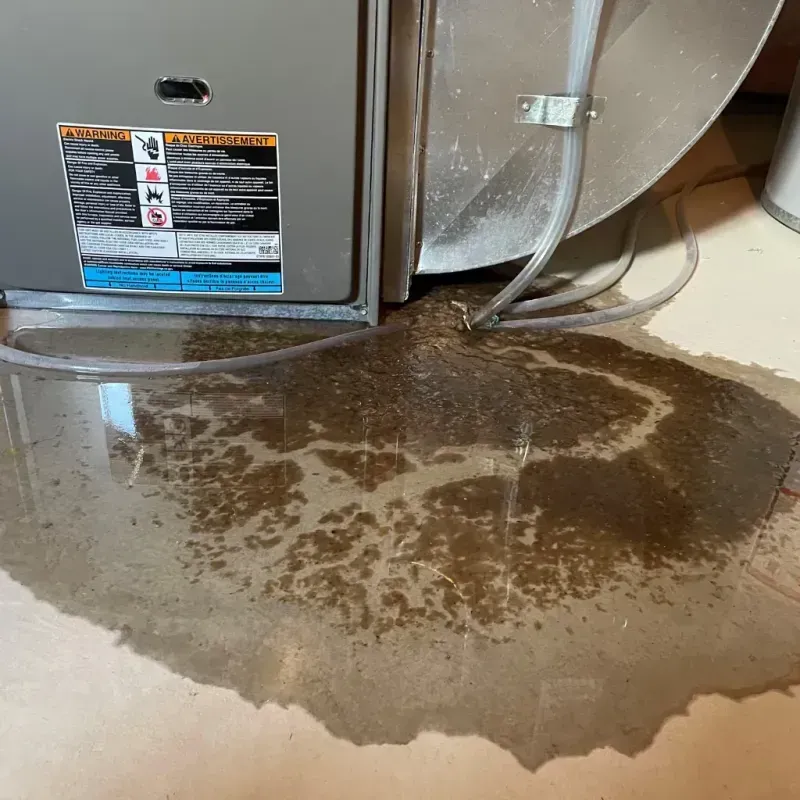 Appliance Leak Cleanup in Gray County, TX